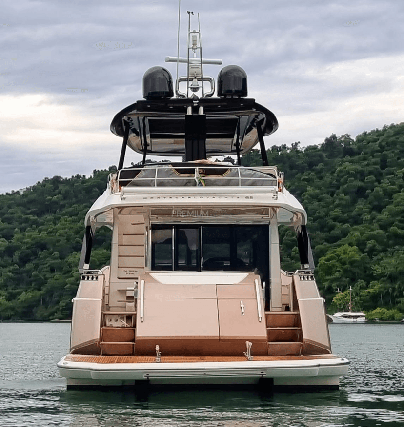 Monte Carlo 65 - 2013 - Image 2