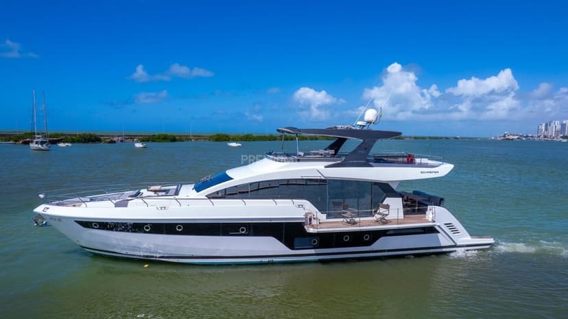 Schaefer 770 - 2019 - Image 3